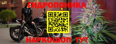 spice Волжский