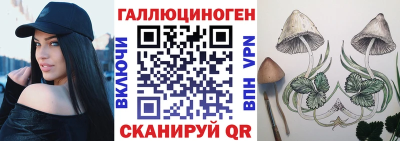где купить наркоту  Гуково  Галлюциногенные грибы прущие грибы 