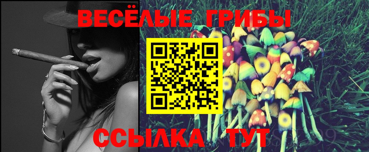 Галлюциногенные грибы Psilocybine cubensis  Гуково 