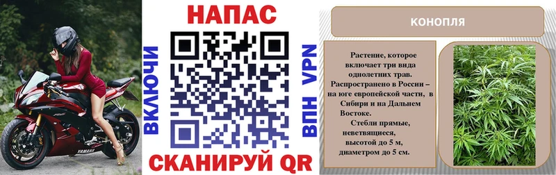 Бошки марихуана планчик даркнет сайт Гуково